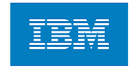 IBM logo - authorized partner